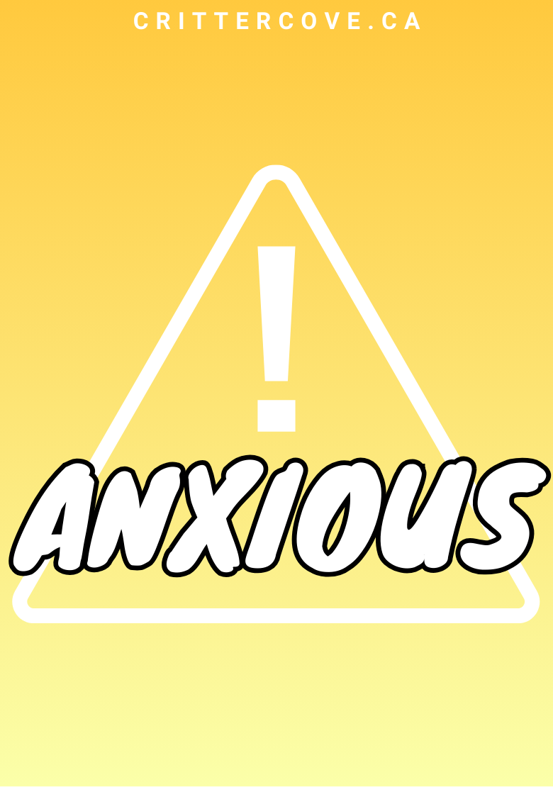 CONVENTION & ACCESSIBILITY BADGES