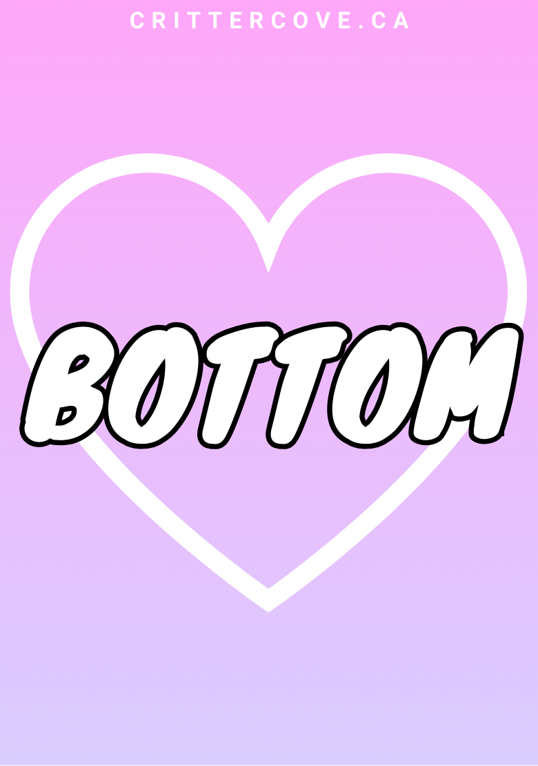 CONVENTION & ACCESSIBILITY BADGES