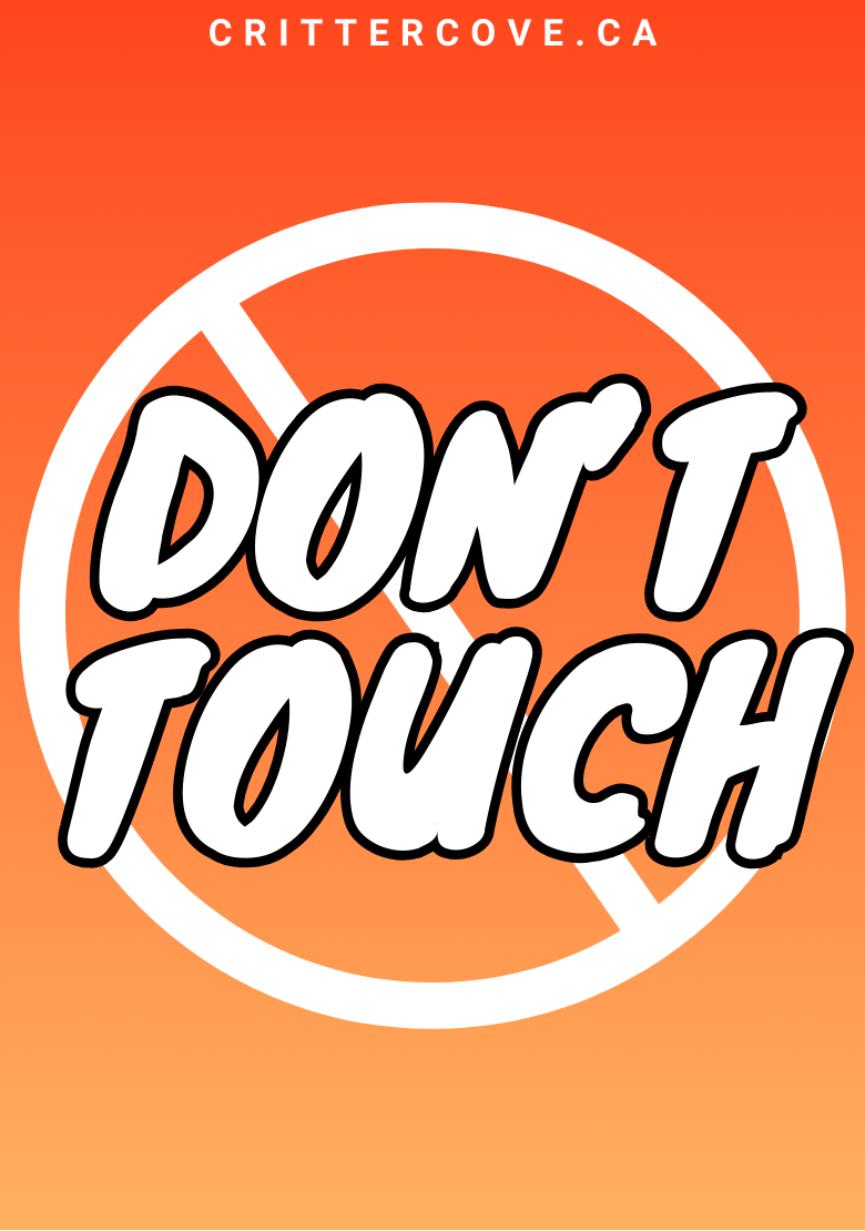 CONVENTION & ACCESSIBILITY BADGES