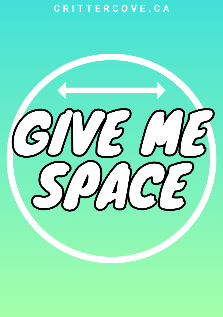 CONVENTION & ACCESSIBILITY BADGES