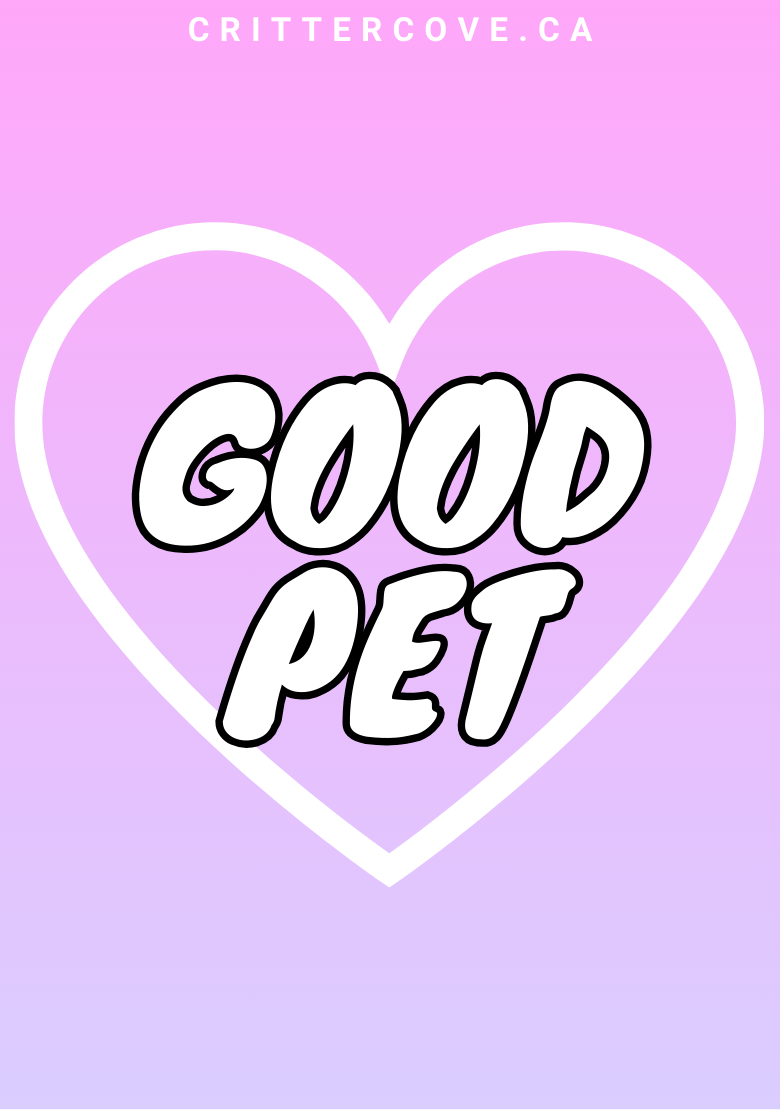 CONVENTION & ACCESSIBILITY BADGES