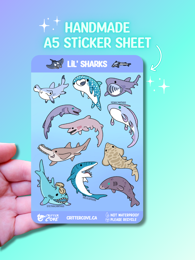 LIL' SHARKS / STICKER SHEET A5