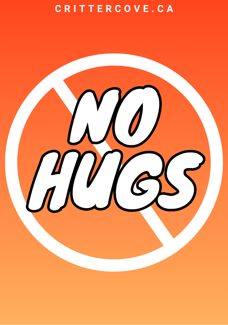 CONVENTION & ACCESSIBILITY BADGES