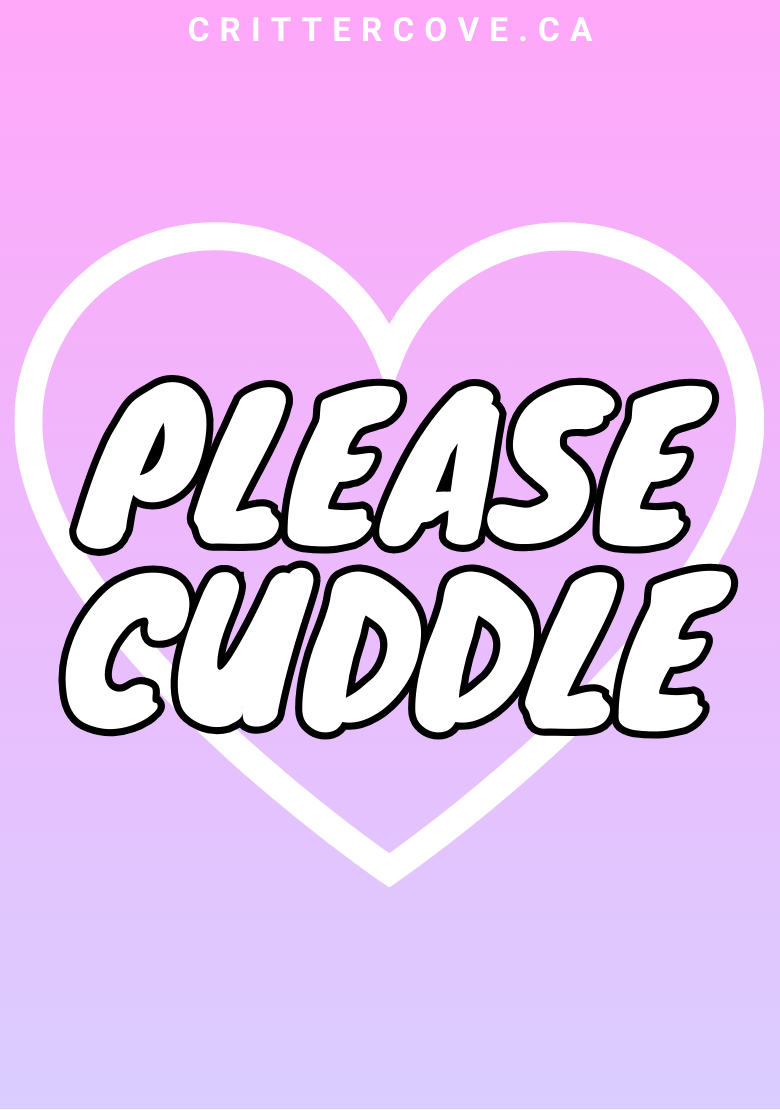 CONVENTION & ACCESSIBILITY BADGES