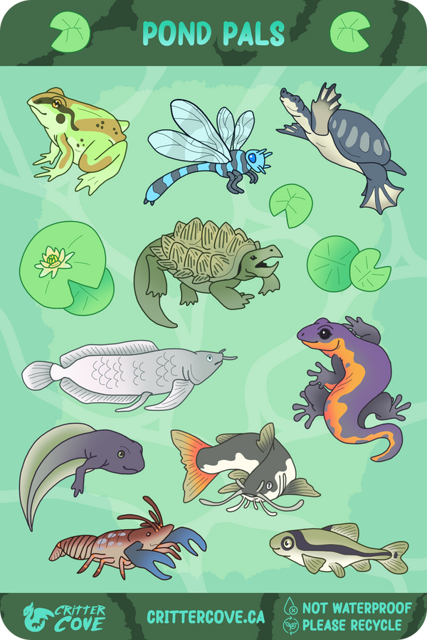 POND PALS / STICKER SHEET A5