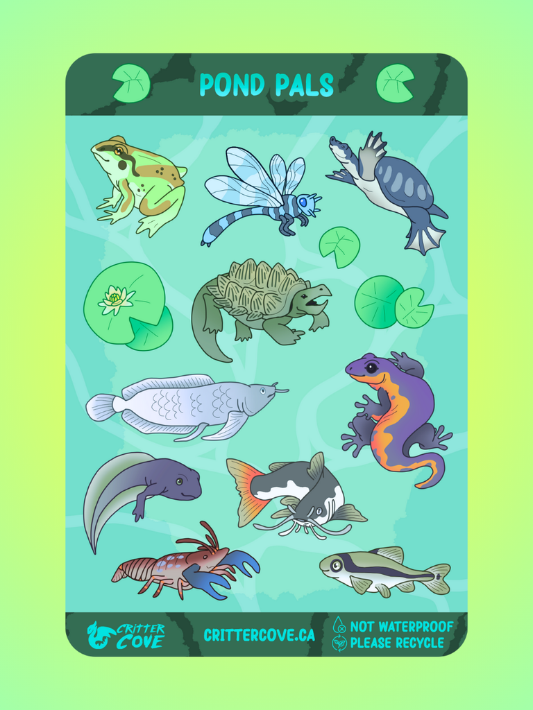 POND PALS / STICKER SHEET A5