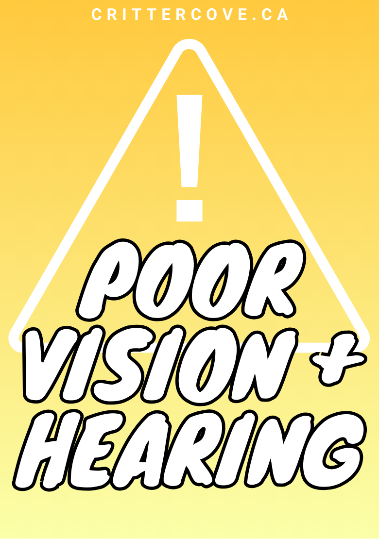 CONVENTION & ACCESSIBILITY BADGES