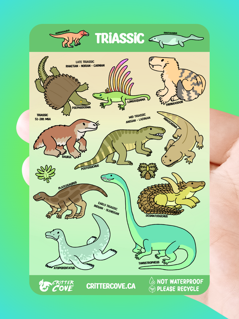 Critter Cove Art