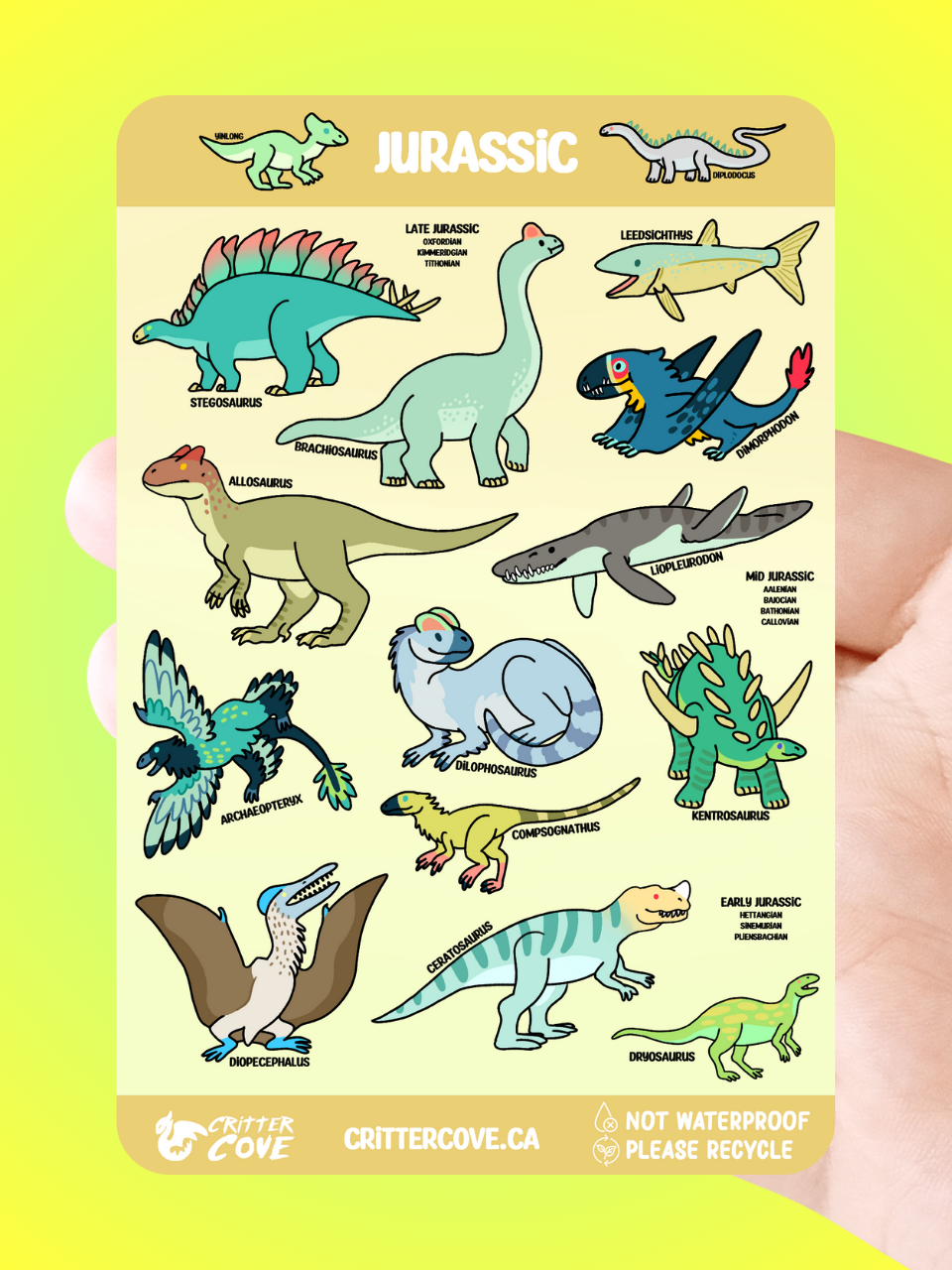 Critter Cove Art