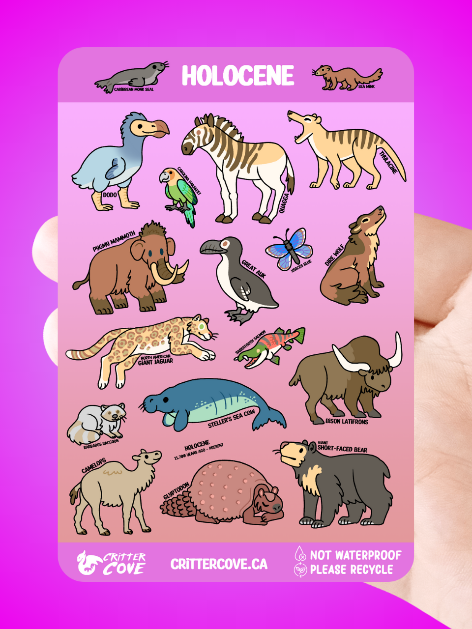 HOLOCENE / STICKER SHEET A5