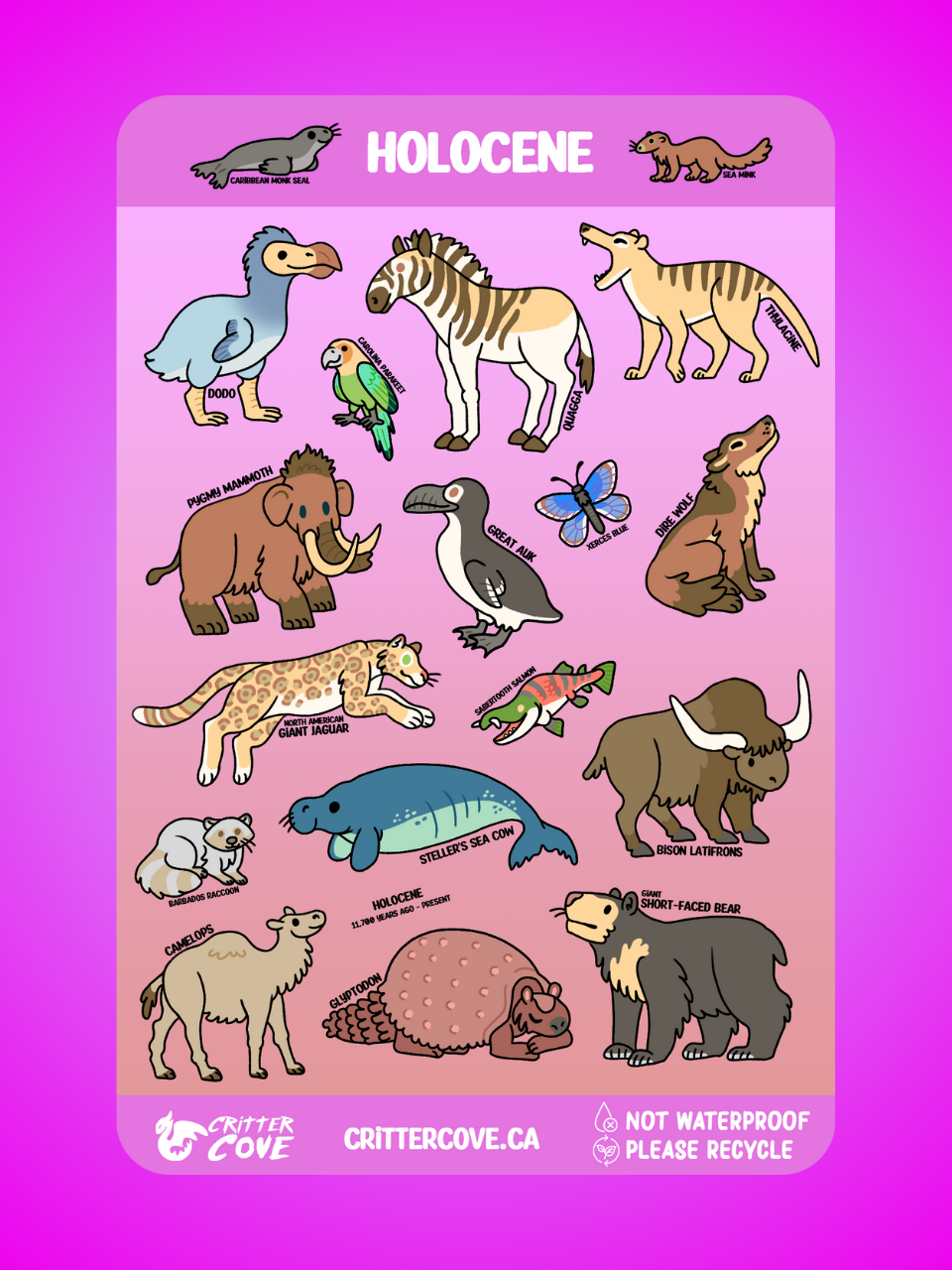 HOLOCENE / STICKER SHEET A5