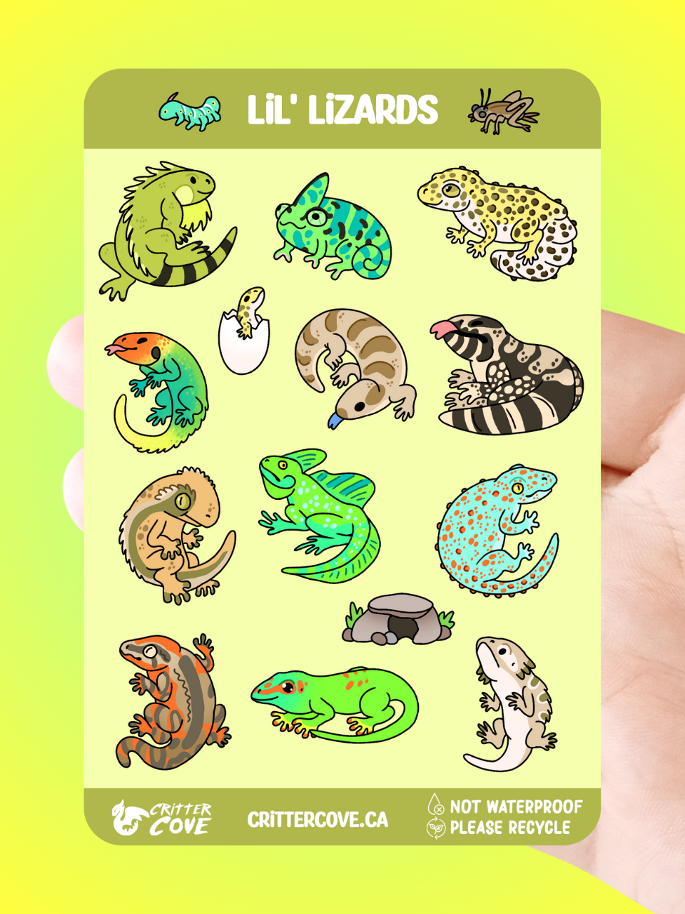 Critter Cove Art