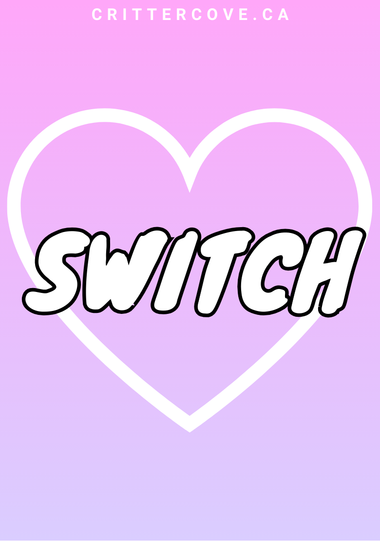 CONVENTION & ACCESSIBILITY BADGES