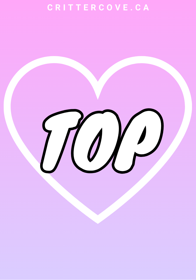 CONVENTION & ACCESSIBILITY BADGES